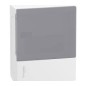 Coffret modulaire MINIPRAGMA ( 3R 12M)porte pleine blanche saillie PT SAN[MIP10312T]