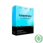 Logiciel Kaspersky Standard 2 postes 2025 WCA[KL10418XBFS-25DVD_WCA]