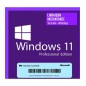 Logiel Widows 11 Pro  STICKERS[MF02]