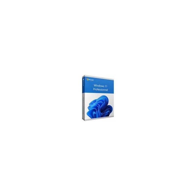 Logiciel Microsoft Windows 11 Pro French STK  CD[W11stkcd]