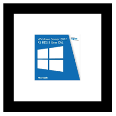 Logiciel Windows Server CAL 2012 French[R18-03666]