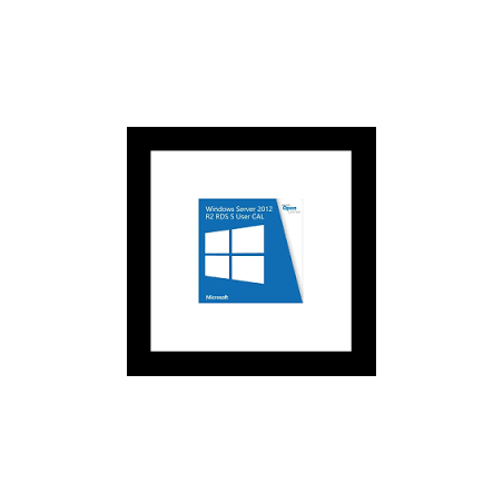 Logiciel Windows Server CAL 2012 French[R18-03666]
