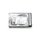 Disque dur HP 1To SATA 7200RPM 3.5 Pouce Hot plug pour G8/G9[657750-B21]