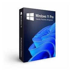 WINDOWS 11 PRO STICKERS[WIN11PRO STICK]
