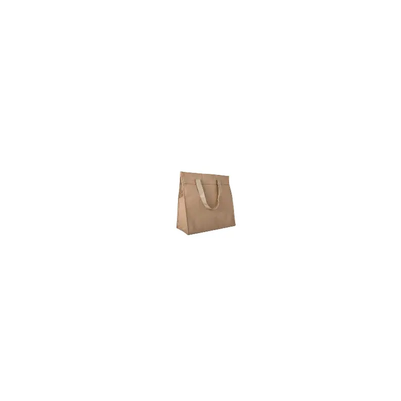 SAC  INTEK RÉUTILISABLE FORMAT 40  15 x 37 CM QUALITE 100 gr[FSSPPT30C]