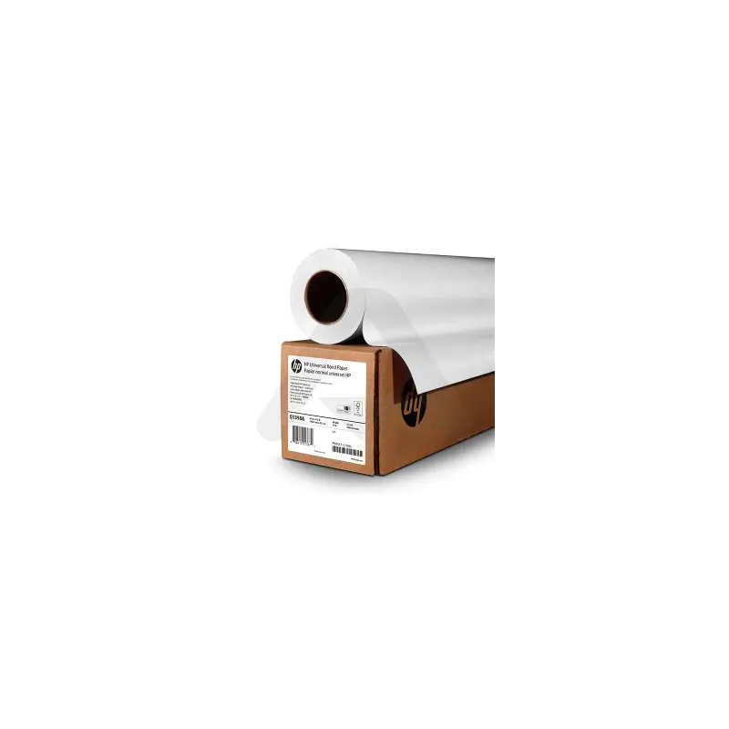Rouleau de Papier HP Outdoor Brillboard blue back AO 140g C7949A[C7949A]