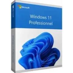 Logiciel Windows 11 Pro 64Bit French 1pk DSP OEI DVD[FQC-10532]