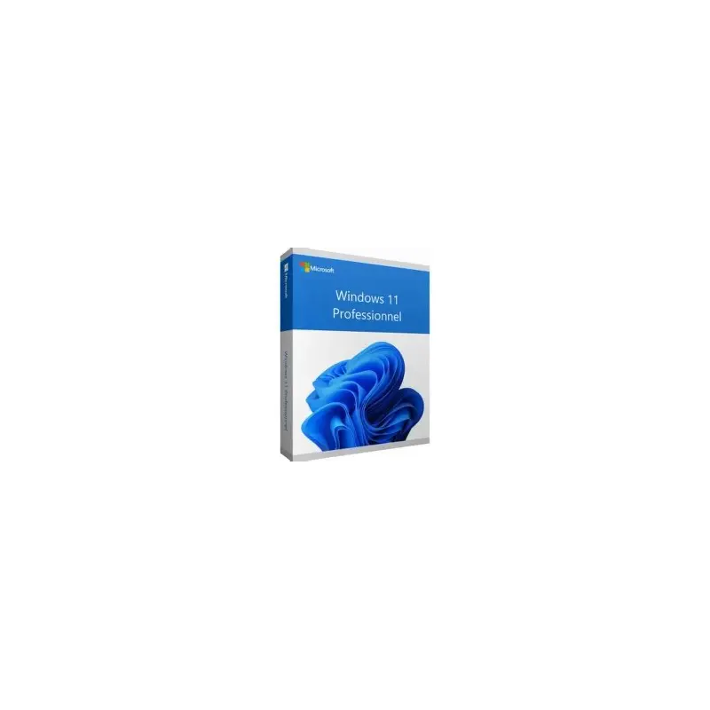 Logiciel Windows 11 Pro 64Bit French 1pk DSP OEI DVD[FQC-10532]
