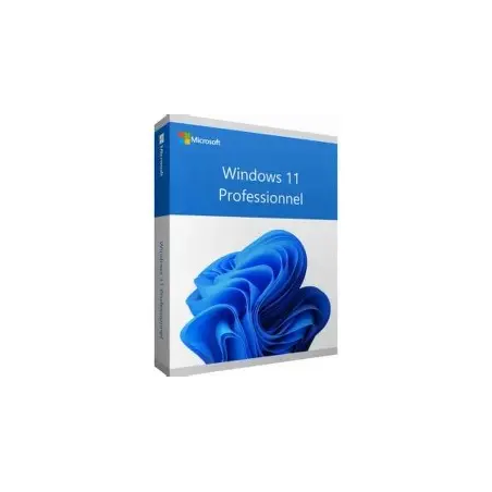 Logiciel Windows 11 Pro 64Bit French 1pk DSP OEI DVD[FQC-10532]