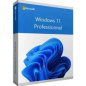 Logiciel Windows 11 Pro 64Bit French 1pk DSP OEI DVD[FQC-10532]