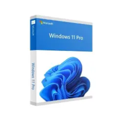 Logiciel Windows 11 Pro 64Bit French 1pk DSP OEI DVD[FQC-10532]