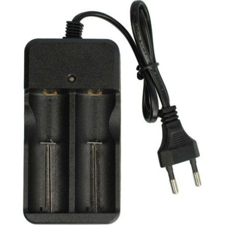 Vhbw chargeur de piles 2 slots pour batteries Ni- Cd , NiMH, Li-ion-chargeur micro-USB[NiMH]