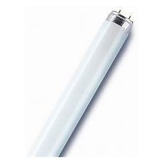 Tube fluorescent 18W blanc neige  OSRAM   220v[011476]