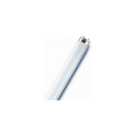 Tube fluorescent 18W blanc neige  OSRAM   220v[011476]