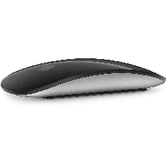 Souris pour Apple Magic Mouse - souris - Bluetooth - noir/[MXK63Z]