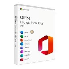 Logiciel Microsoft Office Pro Plus 2019/2021 AL[262-17868]